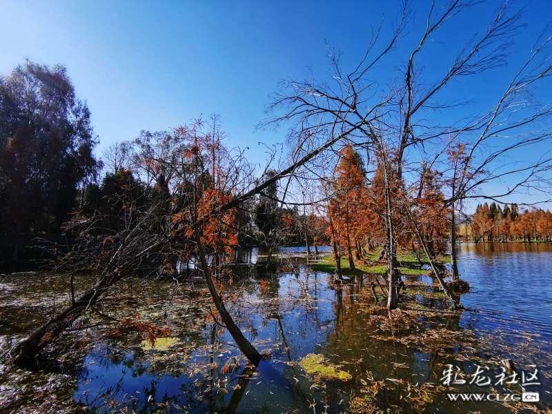 都说原子弹下寸草不生，70年后的广岛和长崎，变成了什么样子？游戏画面